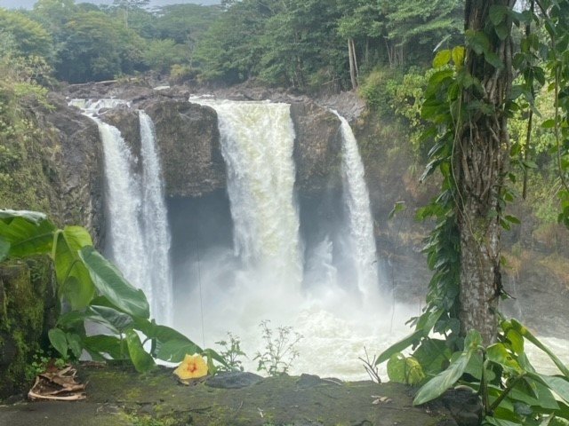 24 Amazing Things To Do In Hilo, Hawaii (+ Attractions Nearby)