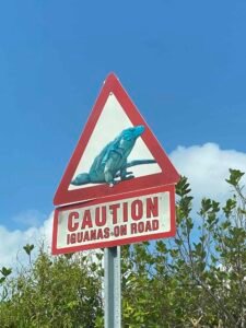 Iguana crossing sign from East End on Grand Cayman Island