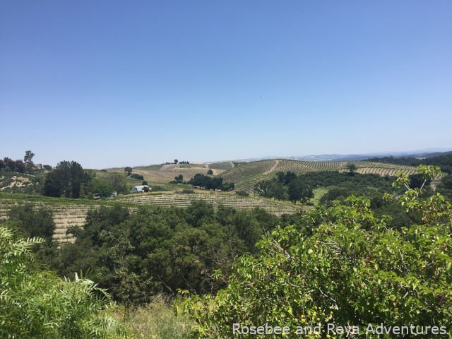 View of Paso Robles wine country