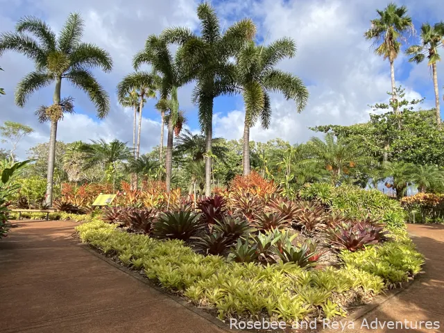 The Dole Garden at the Dole Plantation. One of the best family friendly things to do in Oahu.