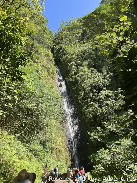 View of Manoa Falls in Oahu