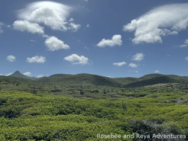 View of the landscape at Shete Boka National Park