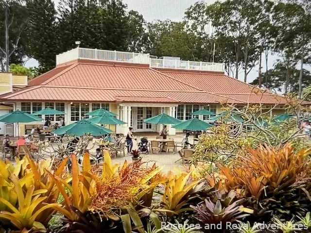 View of the patio at the Dole Plantation