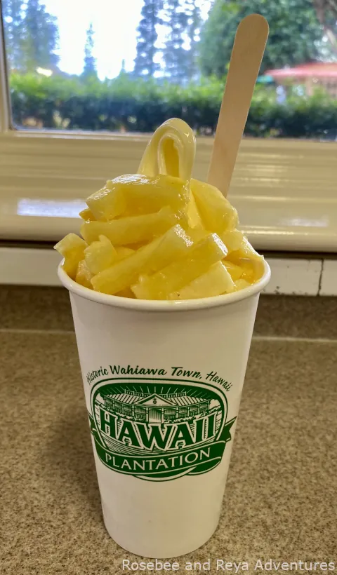 A Dole Whip with pineapple juice and pineapple topping from the Dole Plantation