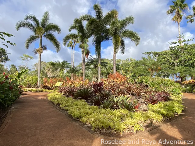 View of the Dole Plantation Garden