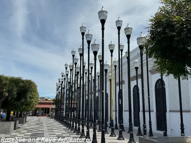 Picture of the Luminarias display behind La Paz's Museum of Art during the daytime.