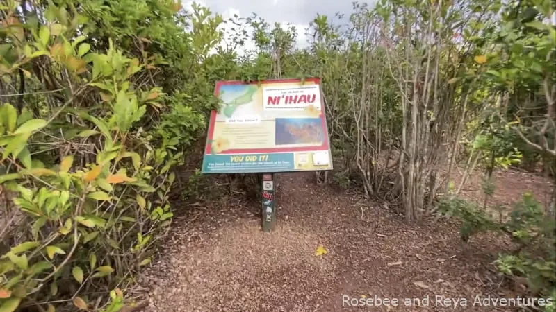 View of the Ni'ihau Secret Station in the Pineapple Maze