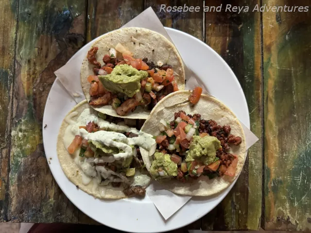 Picture of the three tacos Mireya ordered from Mucho Gusto Taco and Mezcal Bar