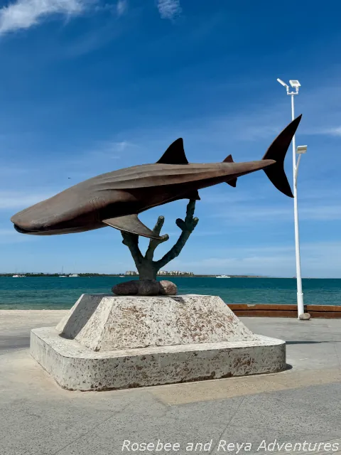 Picture of the Tiburón Ballena (Whale Shark) sculpture on the Malecon in La Paz.