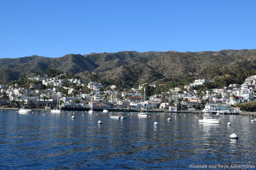 View of the town of Avalon on Catalina Island