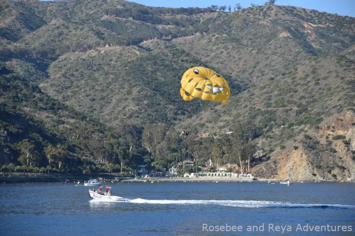 View of someone parasailing on Catalina Island