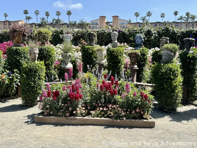 The Pothead Garden at the Flower Fields of Carlsbad