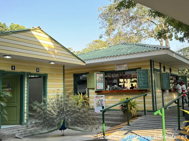 View of the snack shack at Port Oasis