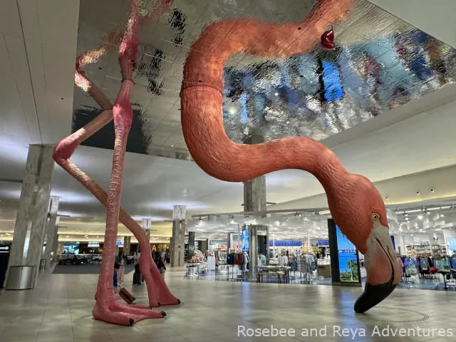 Flamingo at Tampa Airport