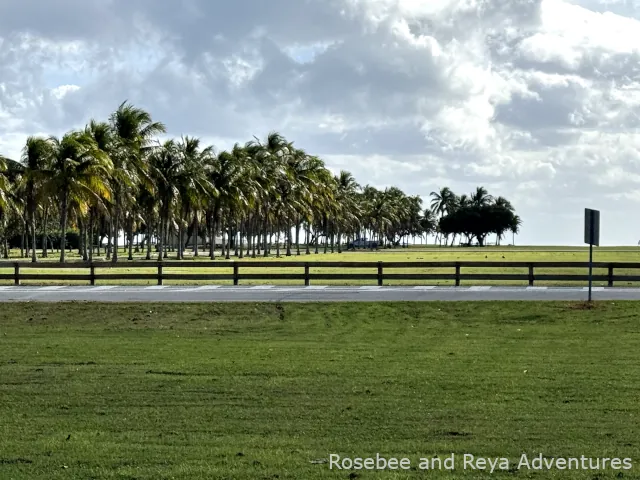 View around Crandon Park