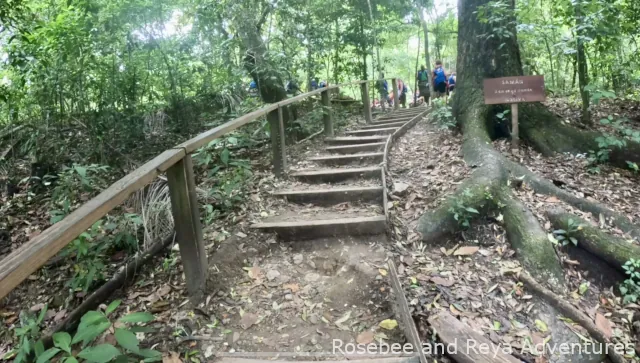 Stairs on the trail at Damajagua