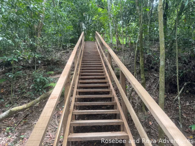 Stairs on the hike at Damajagua