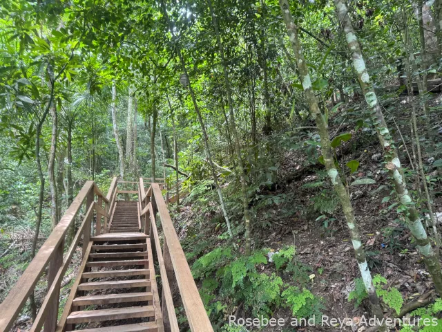 Stairs on the hike at Damajagua