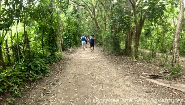 Trail at Damajagua