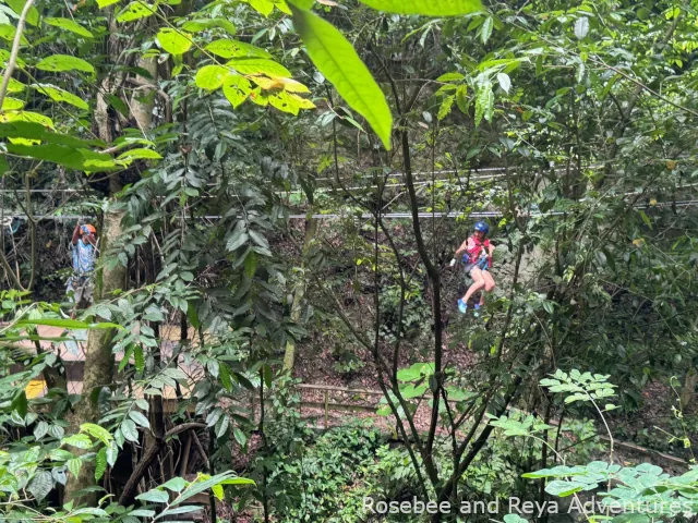 Zipline at Damajagua Waterfalls