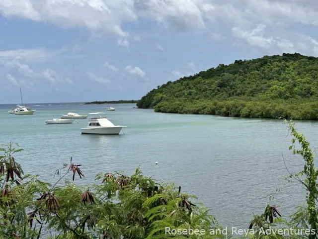 Sugar Bay St. Croix