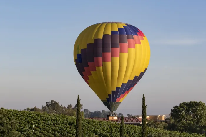 Hot Air Balloon floating over vineyards in Temecula