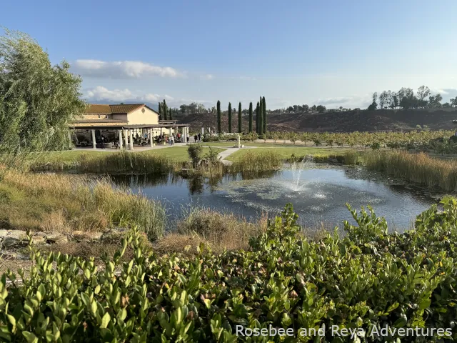 Avensole Winery in Temecula