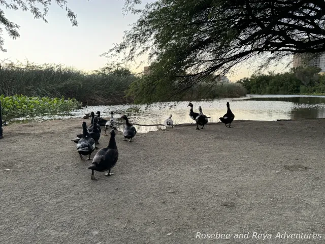 Bubali Bird Sanctuary