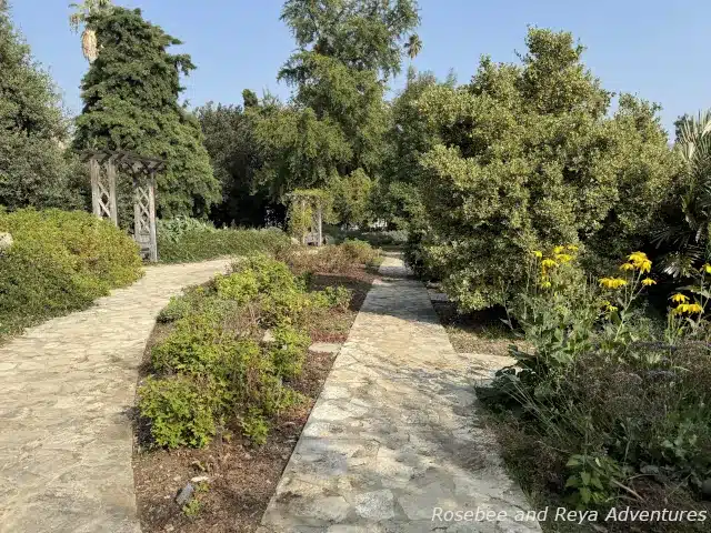 Picture of pathways and two benches with trellises in the Herb Garden at the LA Arboretum