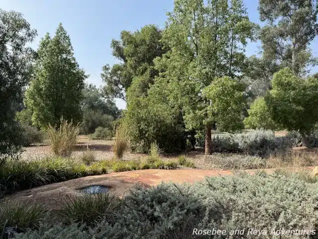 Picture of the snake head of Serpent Trail in the Australia Garden at the Los Angeles Arboretum and Botanic Garden