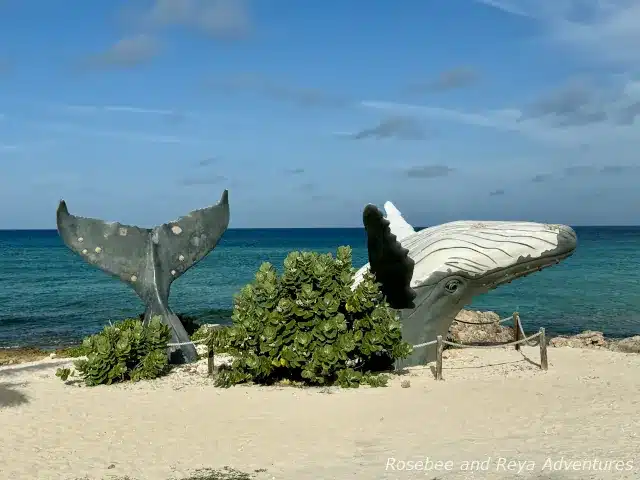 Whale statue on the beach at Grand Turk