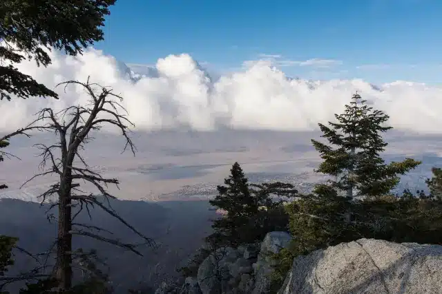 View from the Palm Springs Aerial Tramway