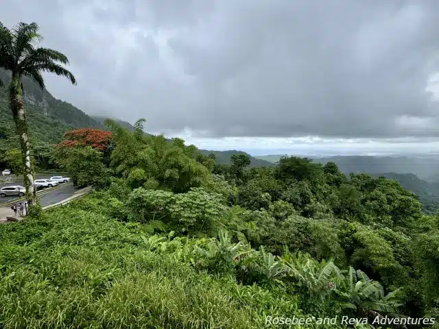 Picture of El Yunque National Rainforest from an observation point