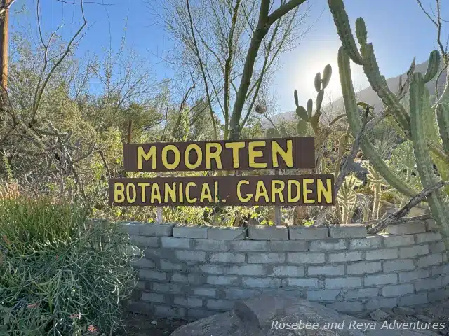 Moorten Botanical Garden