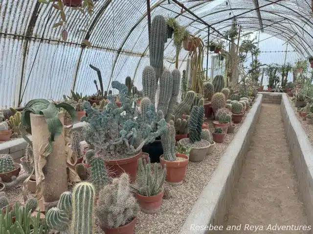 The Cactarium at Moorten Botanical Garden