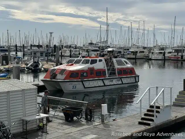 Tender Boat in Santa Barbara Harbor