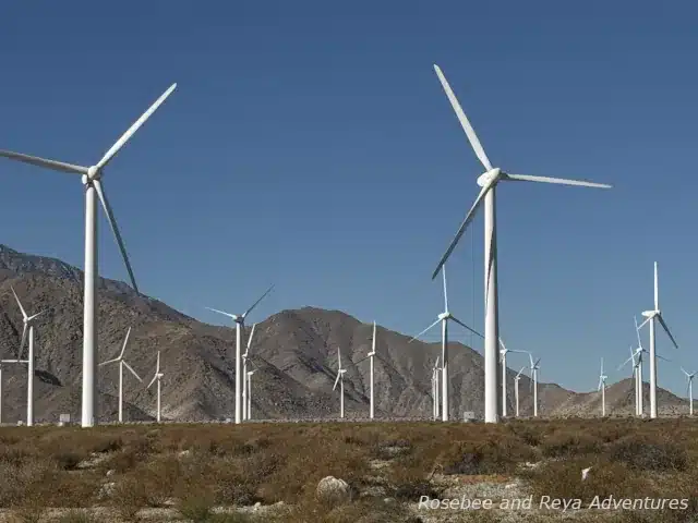 Windmill Farm in Palm Springs