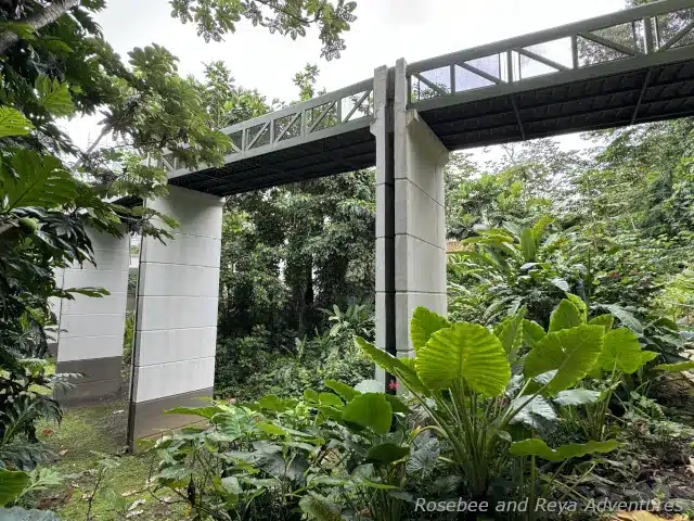 Picture of the walkway to El Portal Visitor Center in El Yunque from the Discover Trail by the visitor center.