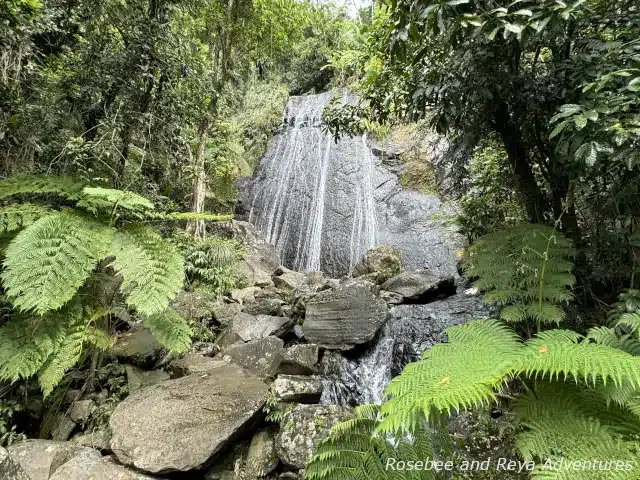 Picture of La Coca Falls in El Yunque National Forest