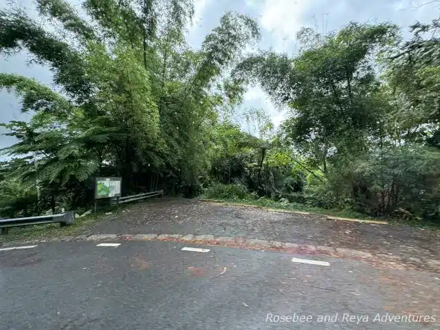 Picture of the trailhead to La Coca Trail in El Yunque Rainforest