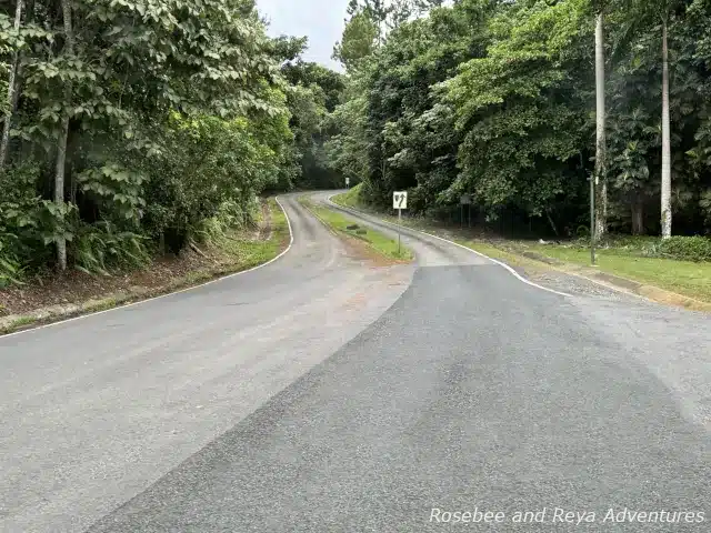 Picture of North PR 191 road into El Yunque National Forest