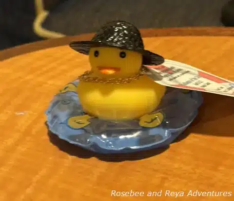 Cruising Duck