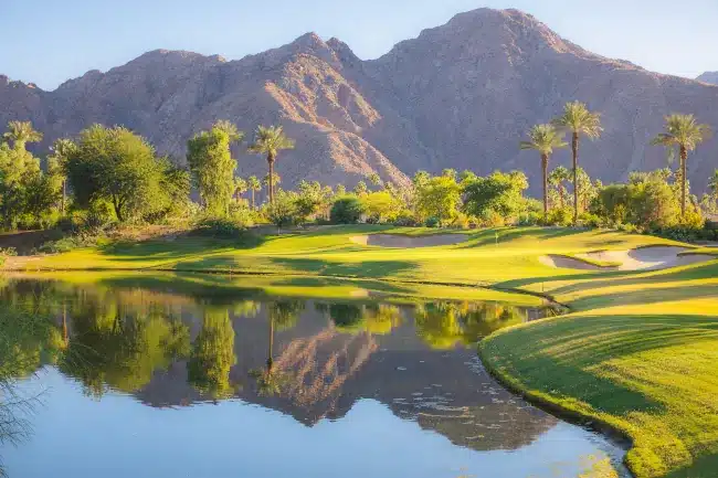 View of mountains and palm trees at the Indian Wells Golf Resort