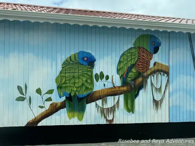 Mural of Parrots in Castries, St. Lucia