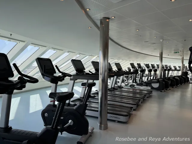 Fitness Center on the Carnival Panorama