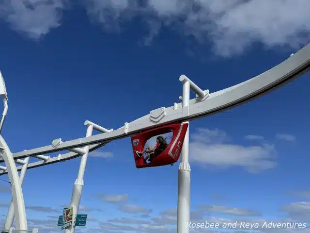 Sky Ride on the Carnival Panorama